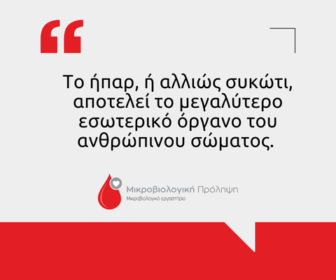 Έλεγχος ηπατικής λειτουργίας