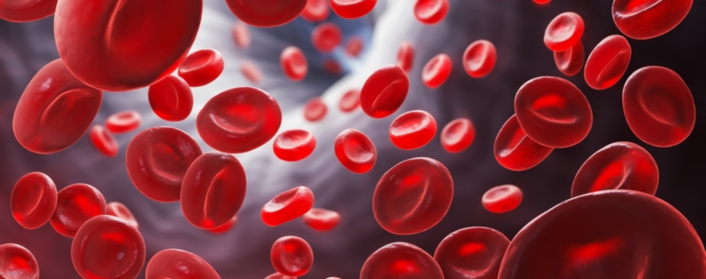 Ερυθρά αιμοσφαίρια
